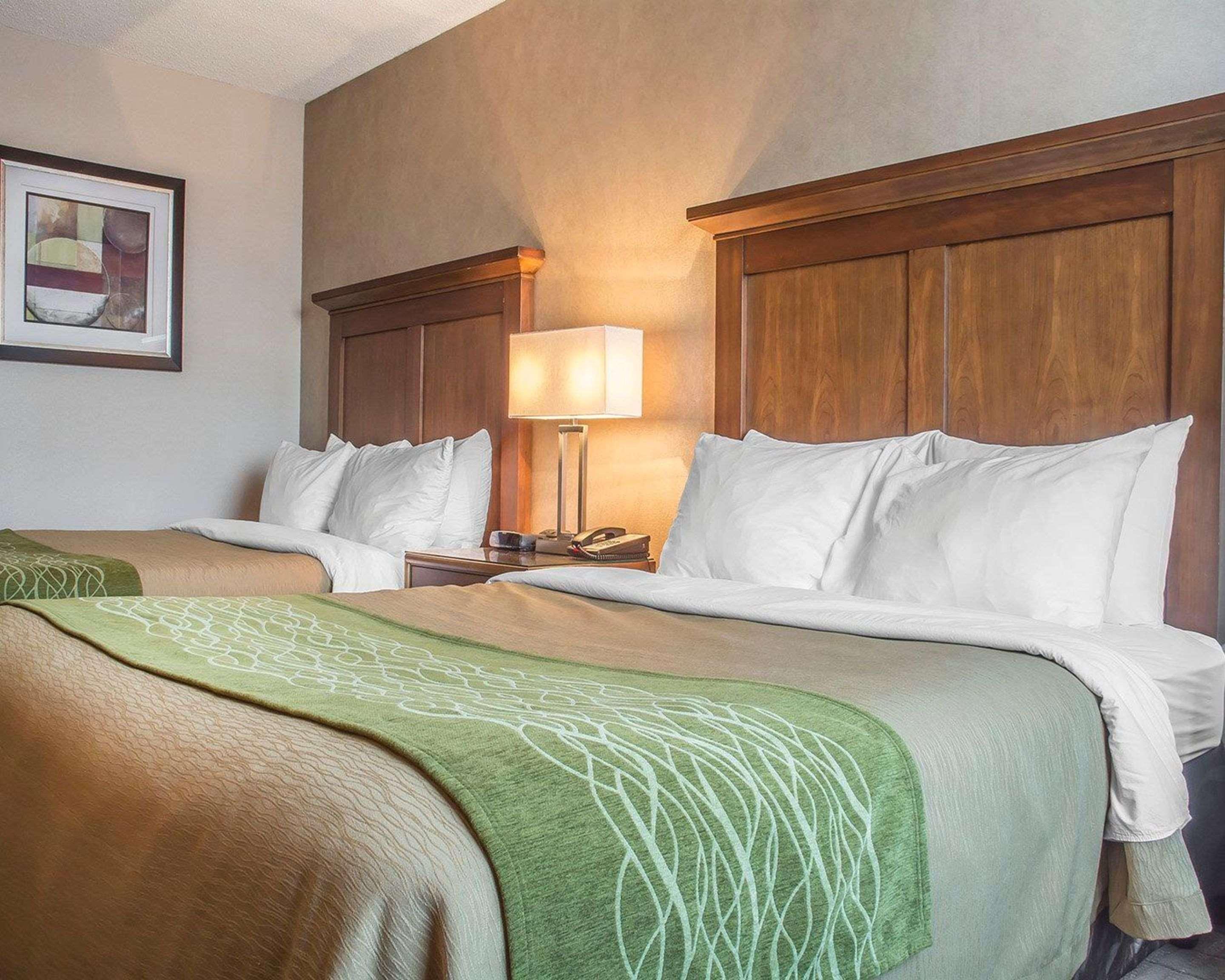 Comfort Inn Port Hope Bagian luar foto